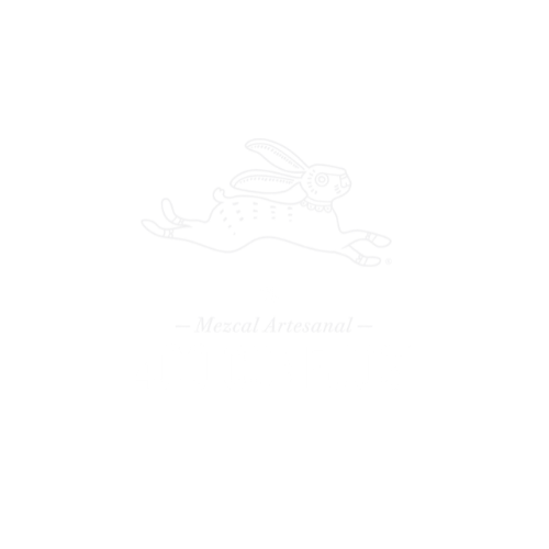 400 Conejos