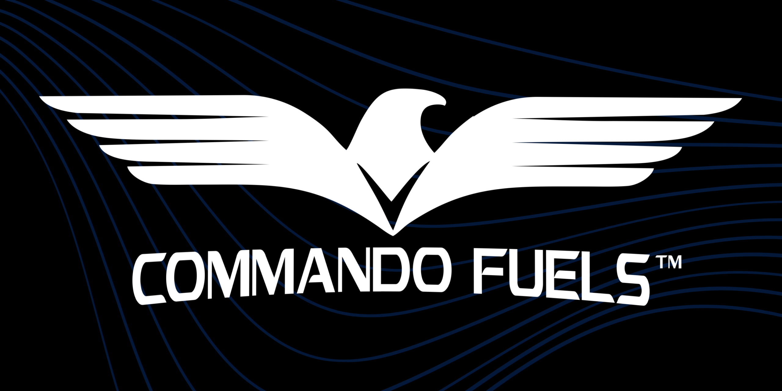 BLACK_BLUE_WHITE COMMANDO LOGO